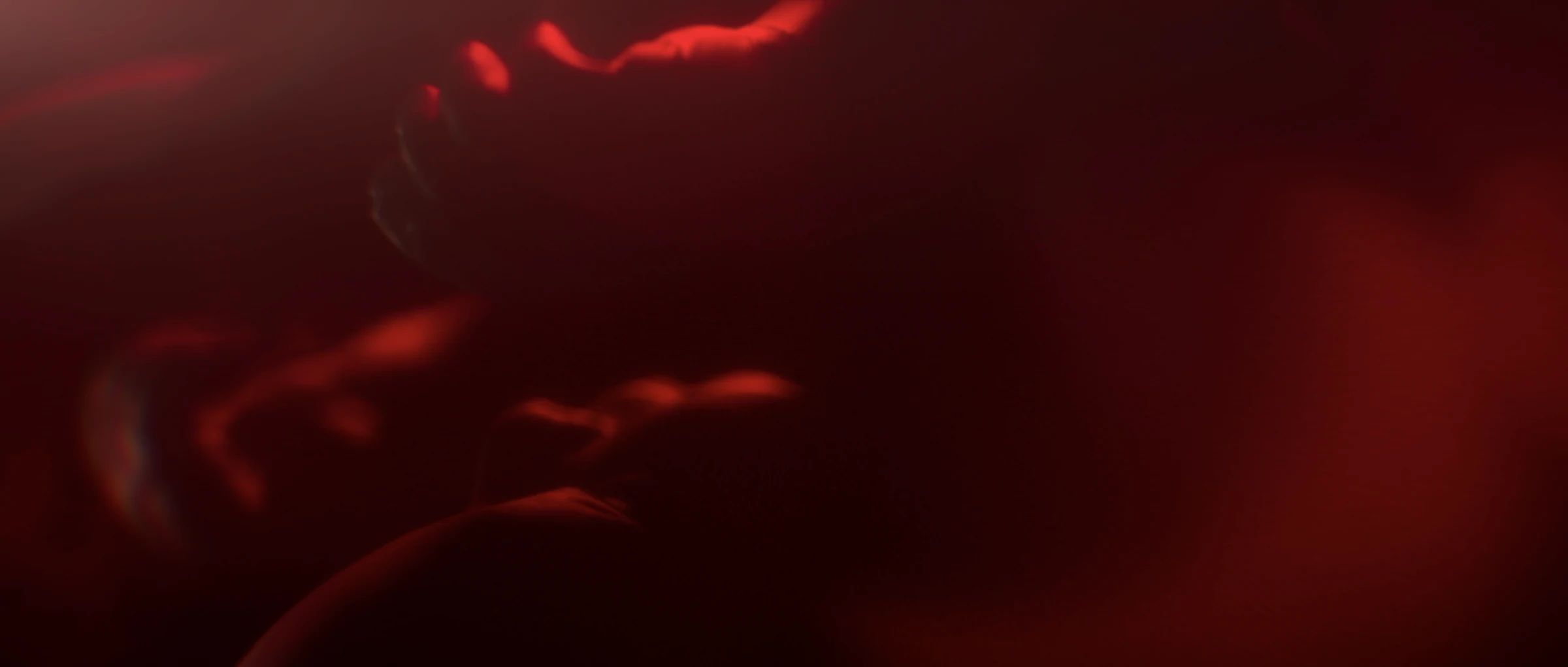 00_Fetus_01-00020
