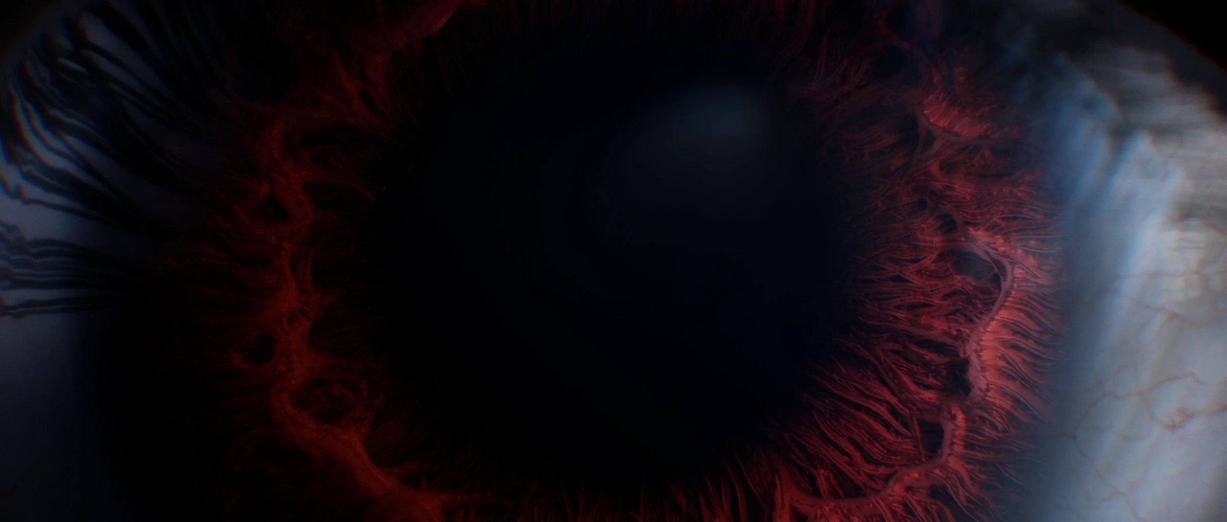 S01_C01-00000